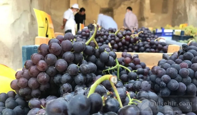 Mey İçki Sanayii Ticaret AŞ den Üzüm üreticisine darbe