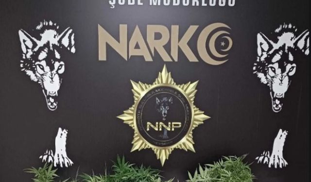 Nevşehir'de Narkotik Operasyonlarında 14 Kişi Yakalandı