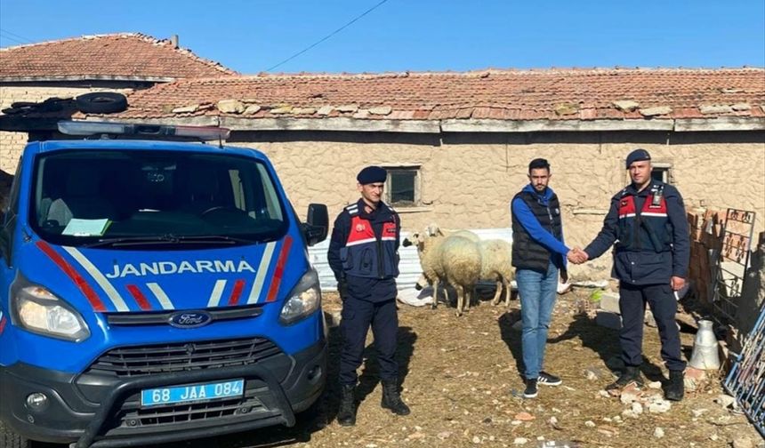 Aksaray'da kayıp koyunları jandarma drone ile buldu