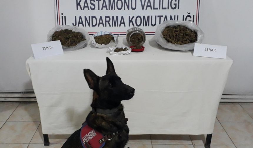 Kastamonu'da uyuşturucu baskını.