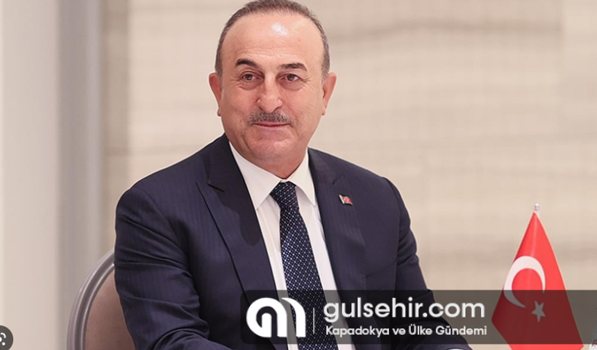 Billström, Bakan Çavuşoğlu basın toplantısında konuştu: