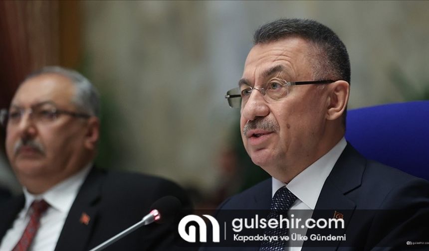 Cumhurbaşkanı Yardımcısı Oktay'dan Dünya İnsan Hakları Günü mesajı: