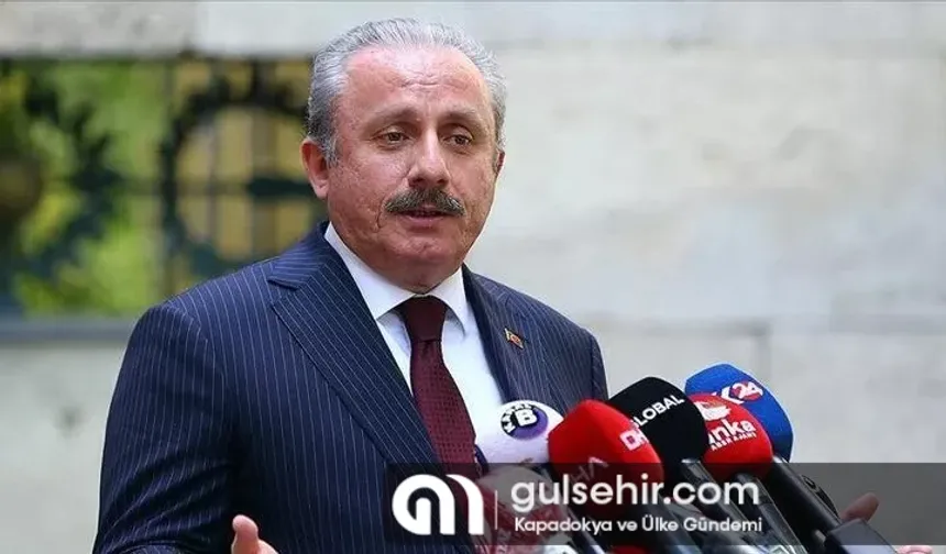 Şentop: Çocuk istismarı asla kabul edilemez