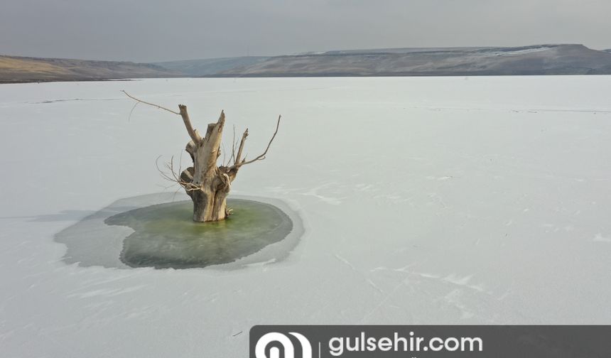 Kars Barajı bile soğuklara dayanamadı