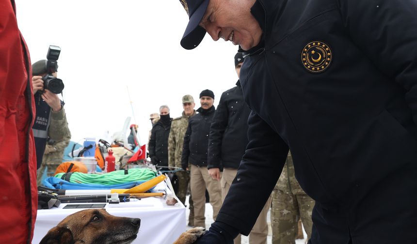 Malatya'da arama-kurtarma köpeği Sıla 12 kişiyi buldu
