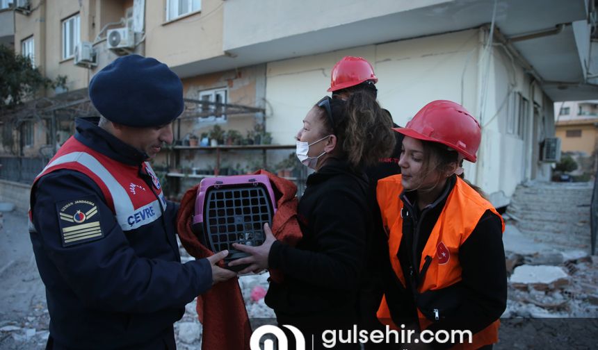 Osmaniye'de hasarlı apartmanda mahsur kalan kedi kurtarıldı