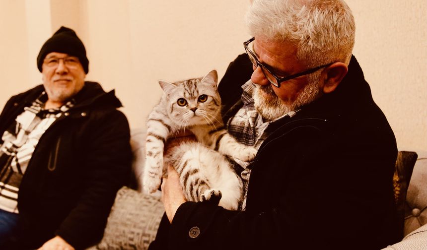 Depremzede kedi "Krem" sevimliliği ile mutluluk saçıyor