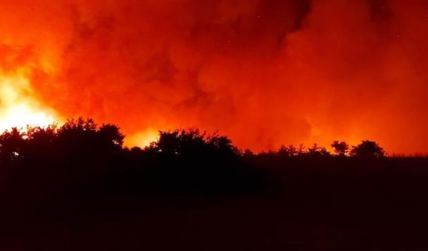 Osmaniye'de ormanda yangın çıktı