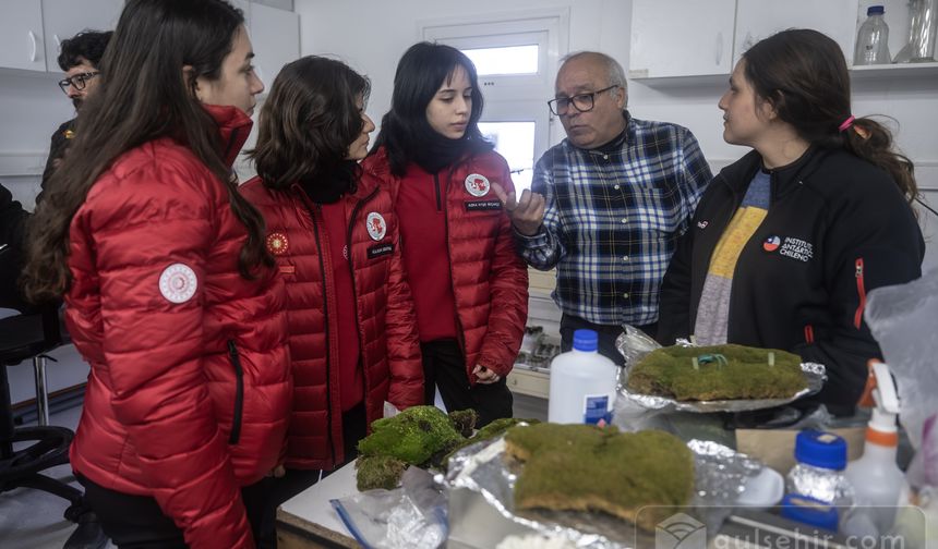 Meşe palamutları Yerli Biyoplastik Materyale dönüşüyor