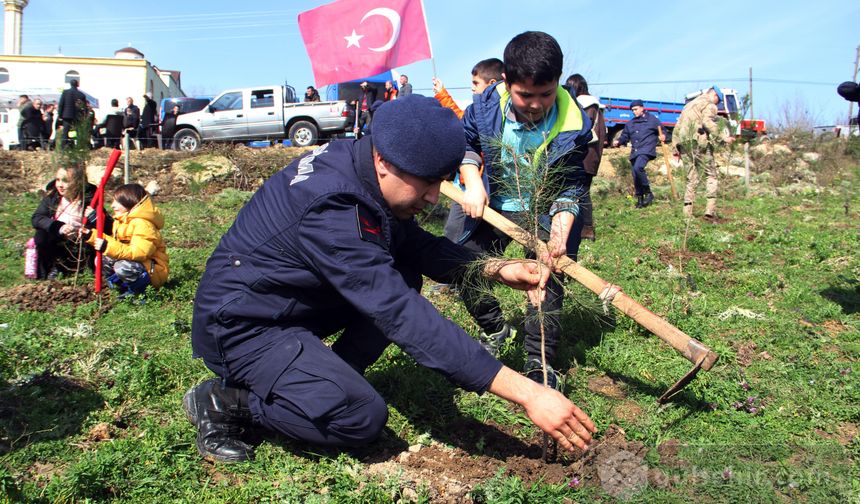 Sinop'ta deprem şehitleri için hatıra ormanı