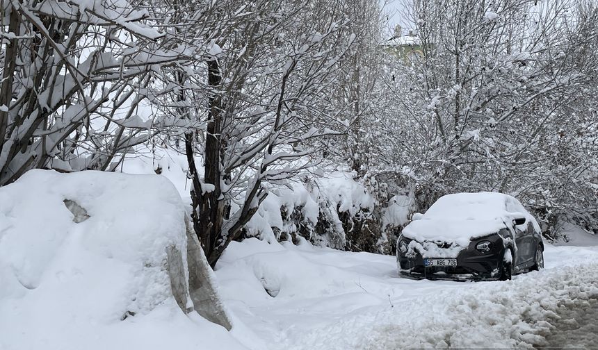 Van ve Bitlis'te 163 yol kar ve tipi sebebiyle kapandı