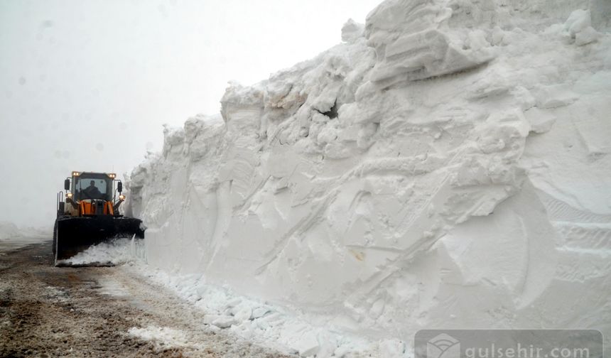 Muş'ta kalınlığı 5 metreyi bulan karlı yol 5 günde açıldı