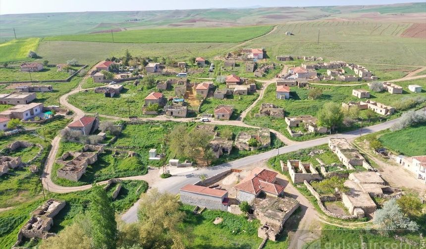 Kozaklı'da 10 nüfuslu köyde seçmen sandık başında