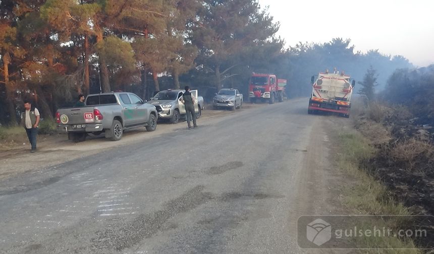 Çanakkale orman yangınının büyüklüğü drone kamerasında