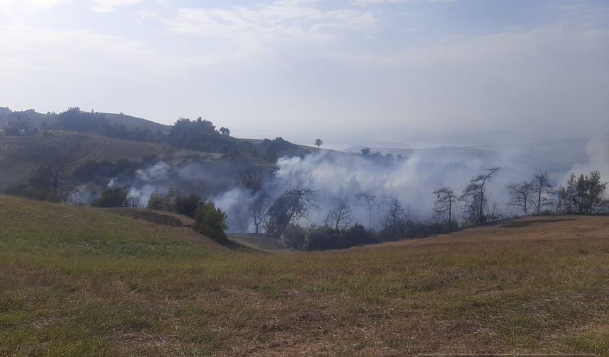Adana'da 14 Ağustos Korkutan Orman Yangın Meydana Geldi