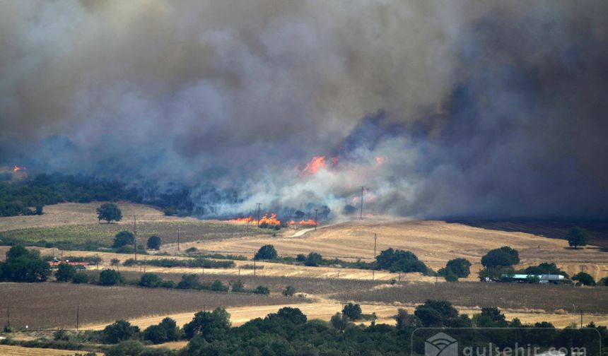 Yunanistan-Türkiye Sınırında Yangın