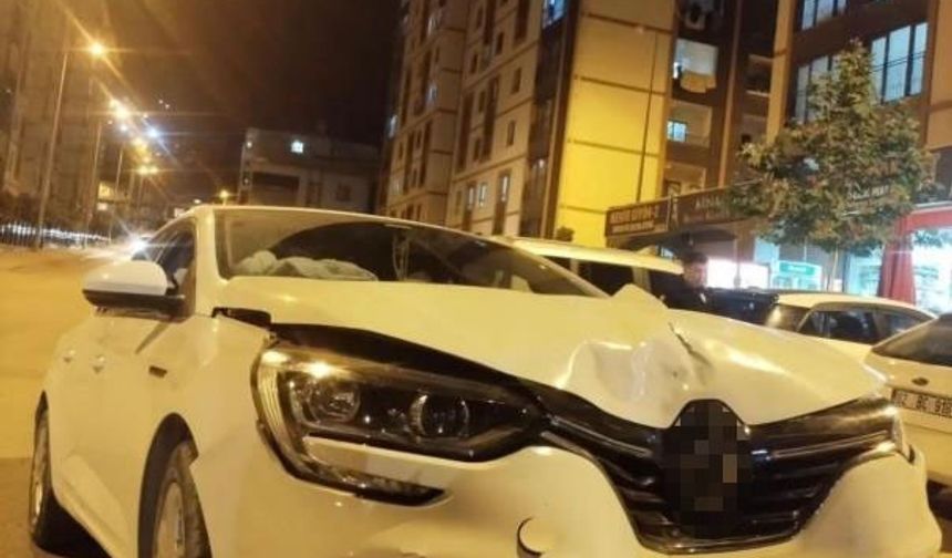Şırnak’ta Yılan Tarafından Sokulan Bir Kişi: ''Hastaneye Giderken Aracıyla Kaza Yaptı''