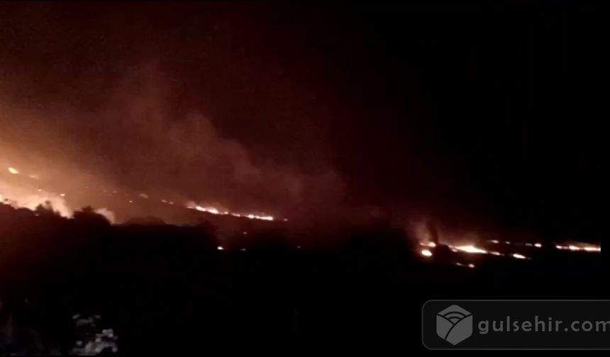 'Balıkesir'de Orman Yangını Alevlere Müdahale Sürüyor'