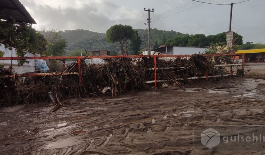 Aydın'da Sağanak Yağış  Sel Felaketine Dönüştü: '1 Ölü, 6 Kayıp'